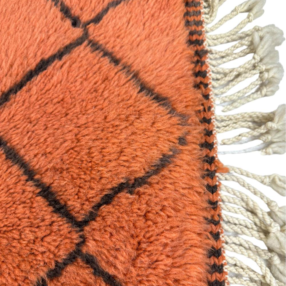 Mischievous Rug 4525