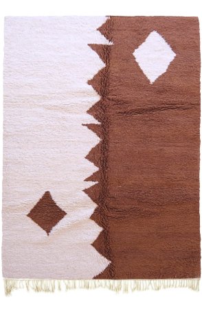 Duality in Color Rug 4557