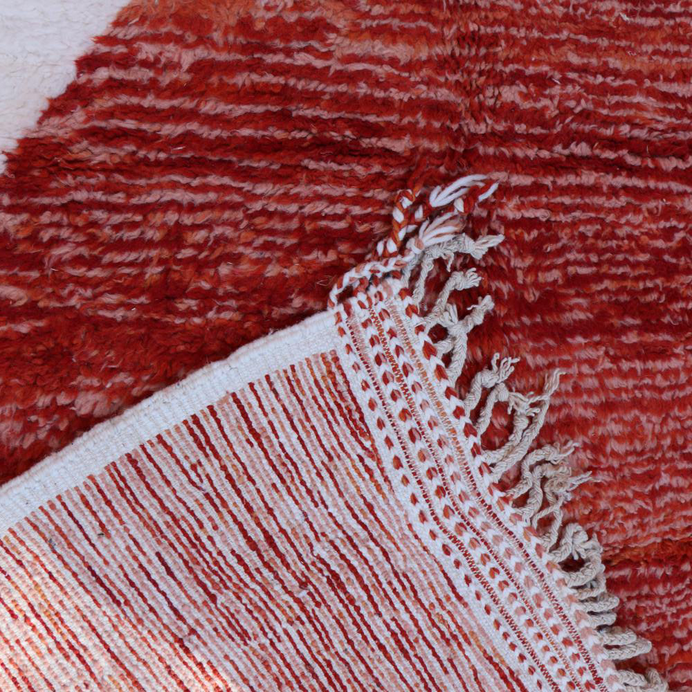 Canyon Rug 4559