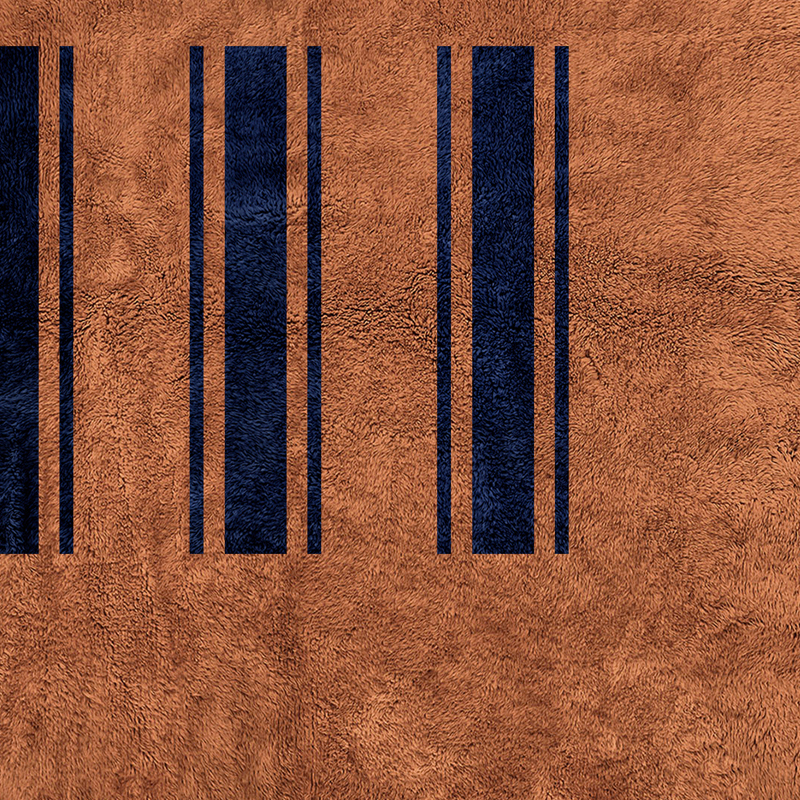Orange Striped Rug 5117